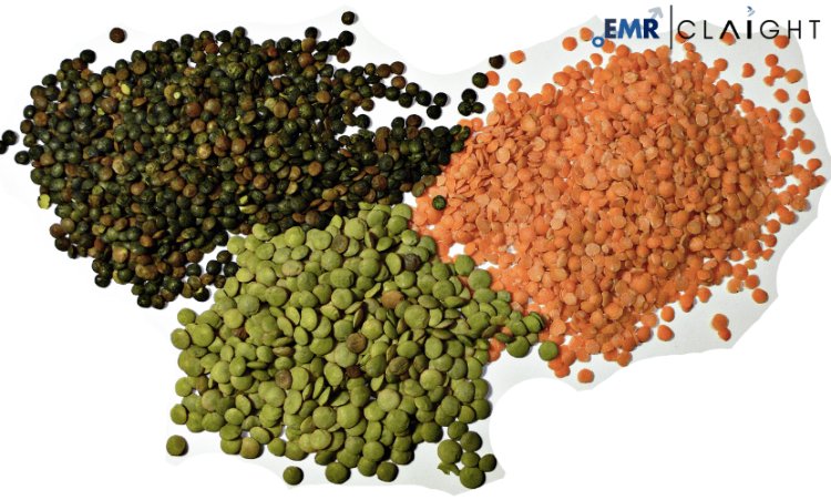 Lentil Market Growth: Trends, Key Drivers, and Future Projections 2025-2034