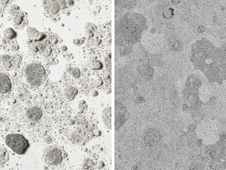 Mold vs. Mildew: How to Tell Which One is Secretly Poisoning Your Air