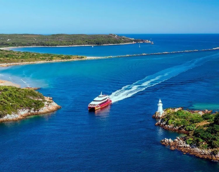 Your Gateway to Tasmania’s Wild Heart - Go on the best Wilderness Cruise!