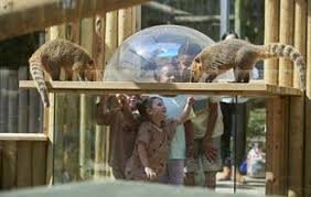 Best Petting Zoos in the UK for a Fun Family Day Out