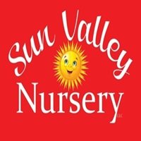 Sun Valley Yard Design