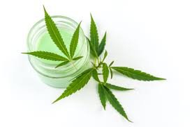 Integrating CBD Cream for Pain Relief into Your Holistic Wellness Routine