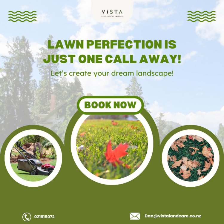 How Professional Landcare Can Improve Your Property’s Value and Health