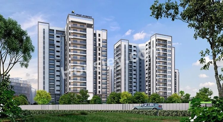 Prestige Pine Forest Whitefield – Your Dream Home in Bangalore’s Prime Location