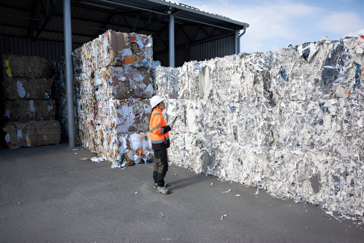Choosing The Right Skip Size for Your Project