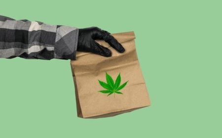 Convenient Cannabis Access: Exploring STIIIZY and Camino Delivery Options in La Habra, Fullerton & Orange County