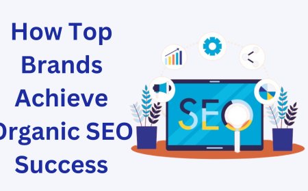 How Top Brands Achieve Organic SEO Success