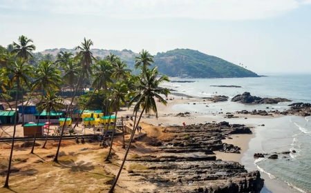 Goa Tour Package from Delhi: Budget Deals, Luxury Stays