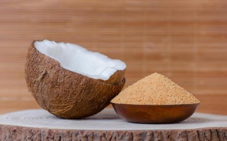 Roadmap for Setting up a Coconut Sugar Manufacturing Plant Project | Report by IMARC Group