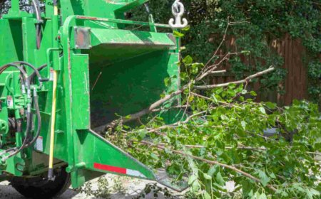 Emergency Tree Removal: What to Do When a Tree Becomes a Threat
