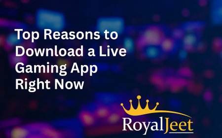 Top Reasons to Download a Live Gaming App Right Now
