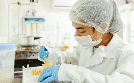 Europe Food Safety Testing Market on Track for Strong Growth Driven by Stringent Standards and Technological Advancements: Renub Research