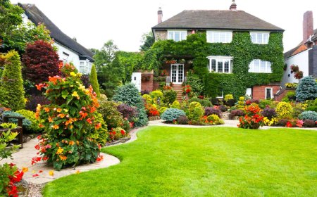 Should You Choose a Local Expert for Garden Design in Bristol