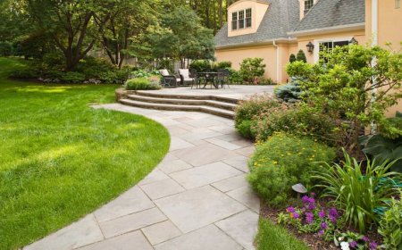What Design Options Are Available for Patios and Paths?