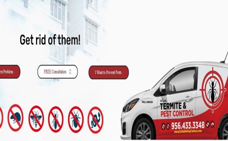 Residential Pest Control Services: Keeping Your Home Safe, Clean, and Pest-Free