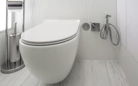 How to Choose the Perfect Wall-Hung Toilet for Your Home: Features, Installation, and Maintenance Tips