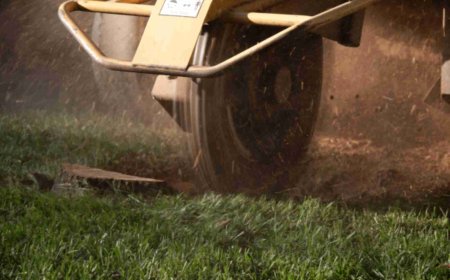 Stump Grinding: The Complete Guide to Removing Tree Stumps Like a Pro
