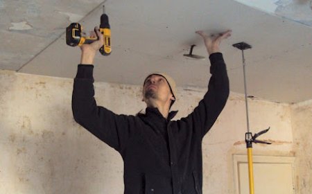 Transform Your Interior with Trusted Plasterers in Sheffield