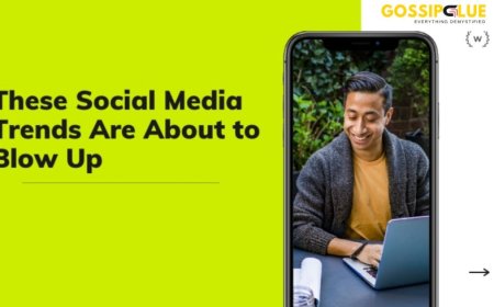 What Do the Latest Media Trends Mean for Creators and Brands?