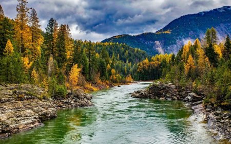 Best Kerala Tour Packages from Chennai | TripSpray