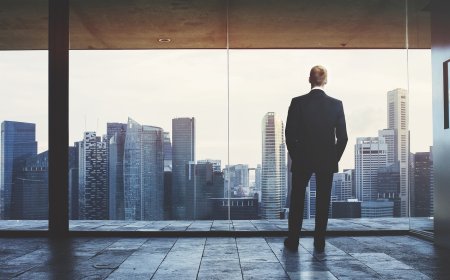 Top Professional Business Consultants in Sydney | Expert Guidance for Growth