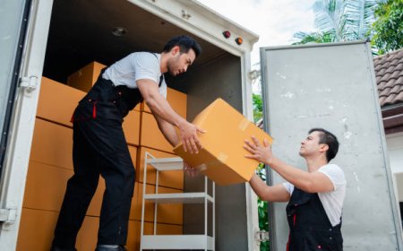 Complete Guide to Movers and Packers in Dubai