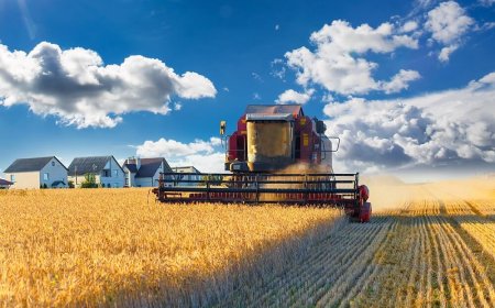 Fueling the Fields: The Vital Role of Agricultural Diesel Suppliers