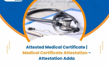 Everything You Should Know About Medical Certificate Attestation and Its Importance