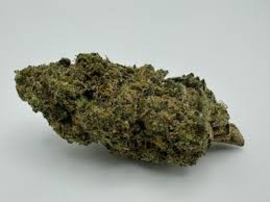 Top Insights into Sour OG Strain and the World of Cannabis Seeds: Your Complete Guide