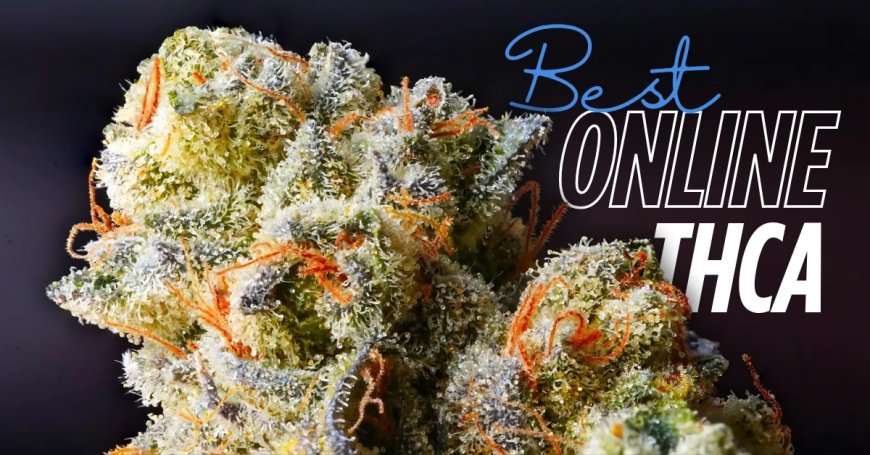 Exploring the Best Online THCA: Your Ultimate Guide to Quality, Legality & Trusted Sources
