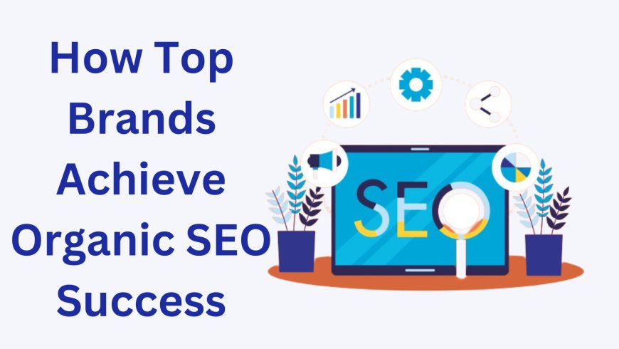 How Top Brands Achieve Organic SEO Success