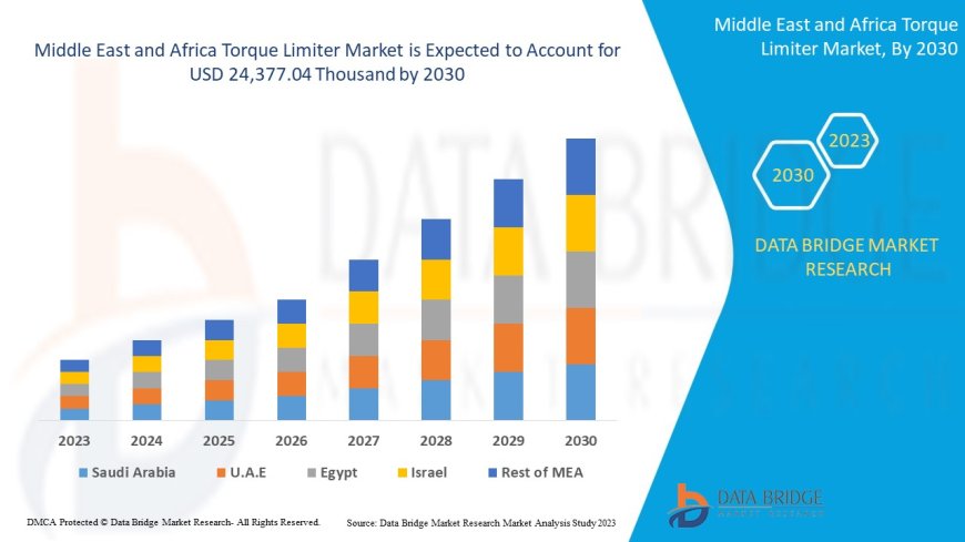 Middle East and Africa Torque Limiter Market Survey: Consumer Behavior, Innovation, and Global Trends