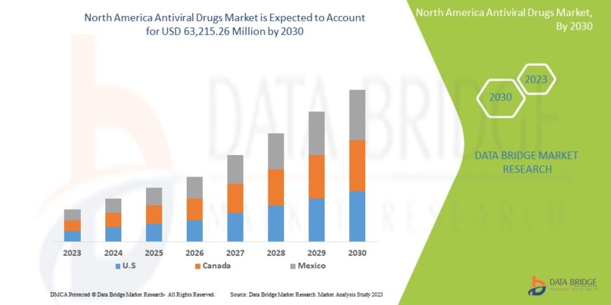 North America Antiviral Drugs Market Survey: Consumer Behavior, Innovation, and Global Trends