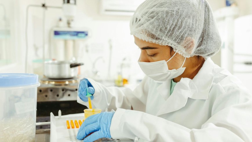 Europe Food Safety Testing Market on Track for Strong Growth Driven by Stringent Standards and Technological Advancements: Renub Research
