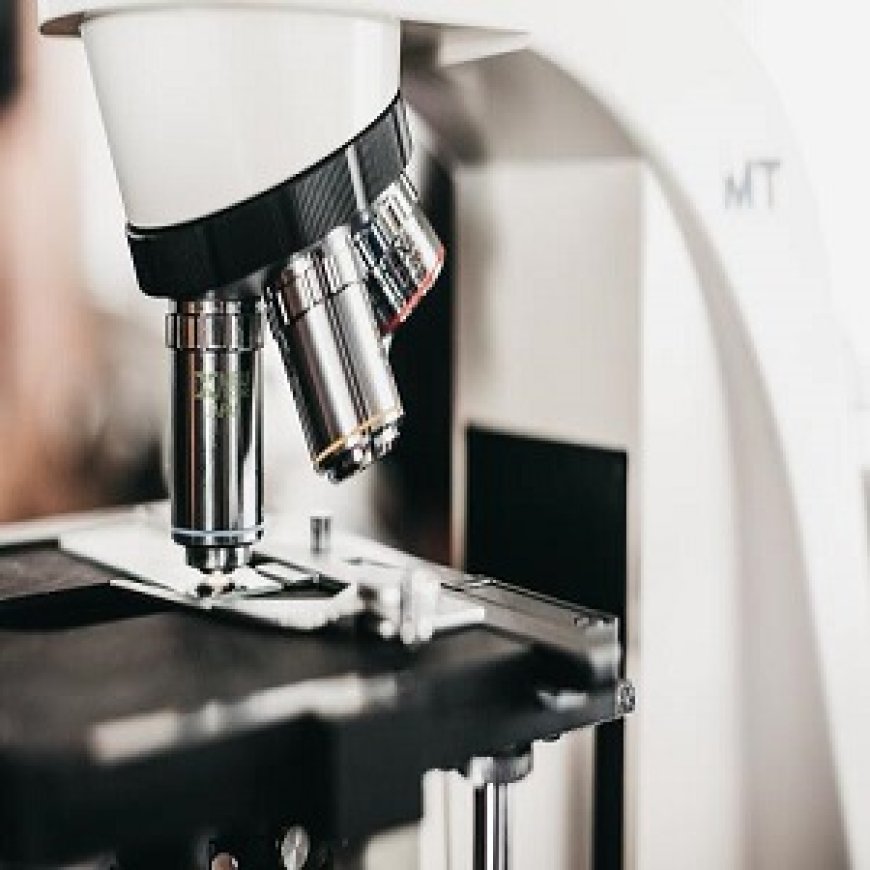 Exploring Glycopeptides: Structure, Function, and Custom Synthesis