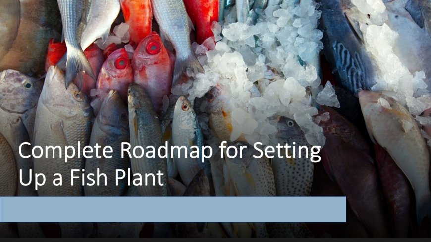 Setup Report on Fish Processing Plant- Detailed Process Flow, Project Cost and Economics