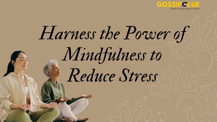 How mindfulness exercises and mindfulness based stress reduction