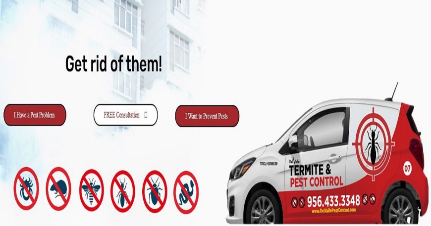Residential Pest Control Services: Keeping Your Home Safe, Clean, and Pest-Free