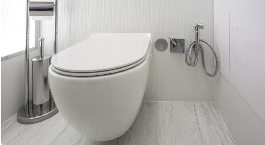 How to Choose the Perfect Wall-Hung Toilet for Your Home: Features, Installation, and Maintenance Tips