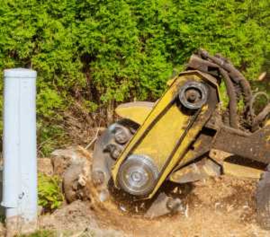 Stump Grinding: Say Goodbye to Unsightly Tree Stumps for Good