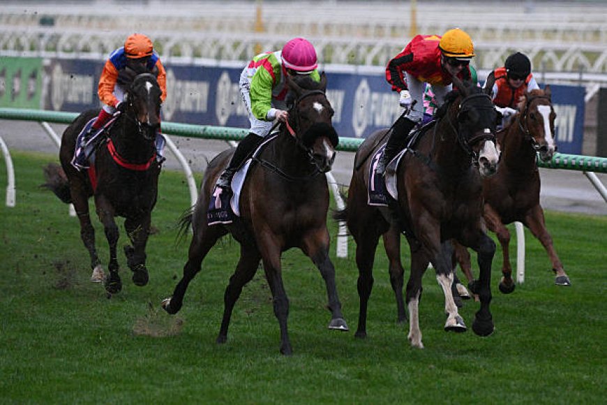 Why the Best PalmerBet Platform Is Winning Over Aussie Punters