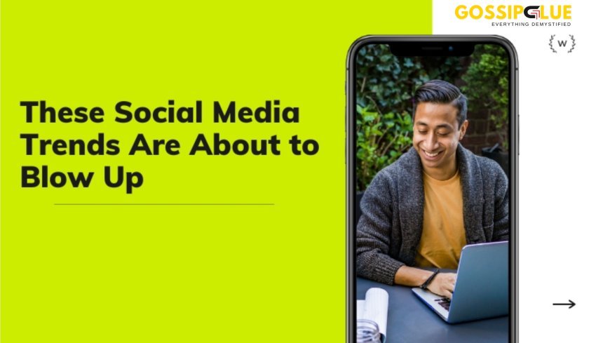 What Do the Latest Media Trends Mean for Creators and Brands?