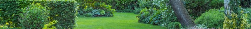Professional Lawn Mowing Services in Little Bay with Reliable and Affordable Local Experts