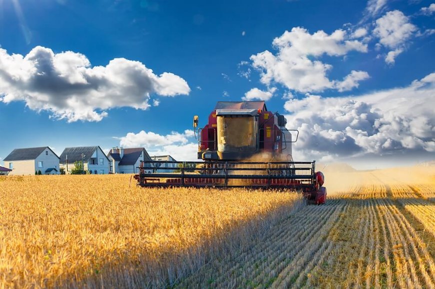 Fueling the Fields: The Vital Role of Agricultural Diesel Suppliers