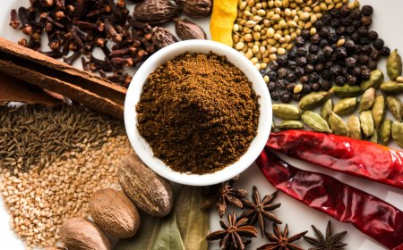 Prefeasibility Report on a Garam Masala Manufacturing Plant Project Setup Cost and Expanses