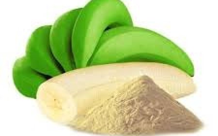 Machinery Requirements for Setting Up a Banana Powder Manufacturing Plant