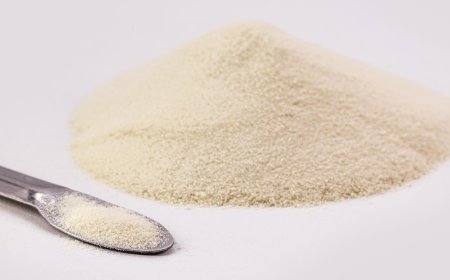 Cost Analysis for Setting up a Gelatin Powder Manufacturing Plant | Report by IMARC Group