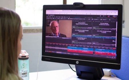 Do Online Translation Services Meet Professional Needs