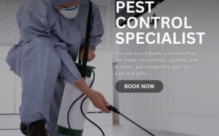 Protect Your Space: Proven Pest Control for Every Melbourne Suburb