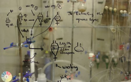 Profacgen Introduces Enhanced ChIP Assay Service with Integrated ChIP-seq and Functional Analysis